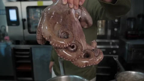 Restaurant chef takes octopus and dips in boiling water, the tentacles clenched Stock Footage 163971409