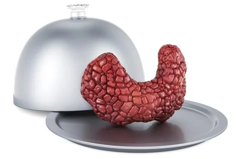 Restaurant cloche with human thyroid, 3D rendering Stock Illustration