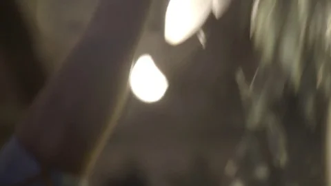 Restaurant close up wine glasses Stock Footage 74451084