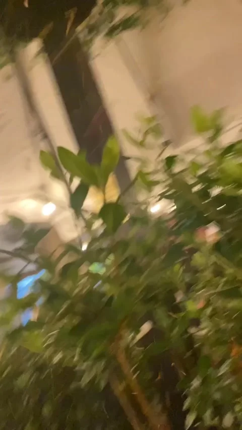 Restaurant customers get caught up in storm Stock Footage 157554235