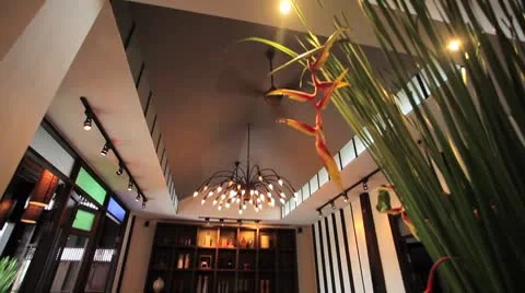 RESTAURANT Stock Footage 8861416