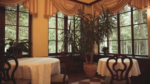 Restaurant interior with palm tree and other plants in the palace Stock Footage 238637265