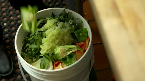 Restaurant Kitchen compost bin 4K Stock-Footage 158036324