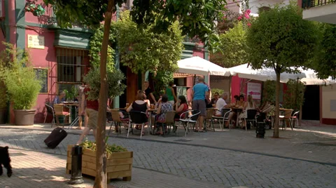 Restaurant in Marbella Vidéo 29580100