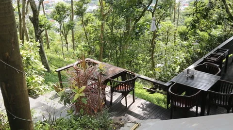 Restaurant with nature view Stock Footage 46389926