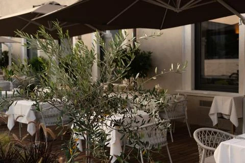 The restaurant Stock Photos