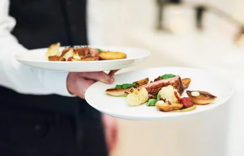 Restaurant, plates and waiter serving food for fine dining, luxury meal and Stock Photos