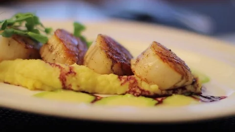 RESTAURANT SCALLOPS AND MASHED POTATOES BEING SERVED SET DOWN ON TABLE Stock Footage 80695421