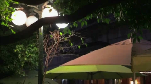 Restaurant with soft light Stock Footage 10755150