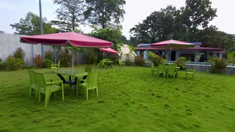 Restaurant surrounded by plants with green seating Stock Footage 321040796