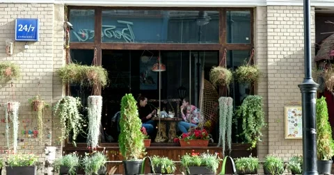 Restaurant visitor Stock Footage 68053872