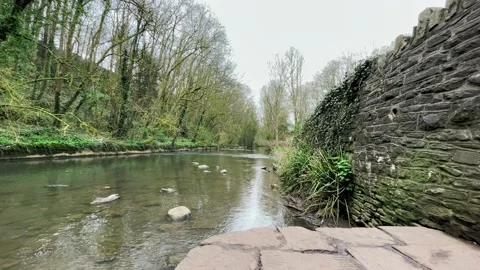 A Restful Shot of a Brook in Early Spring Stock Footage 151353956