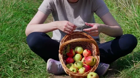 Resting after collecting apples Stock Footage 324501591
