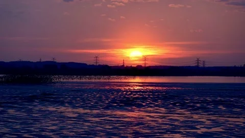 Resting and wintering area for barnacle geese or barnacle geese Stock Footage 150572319