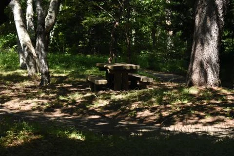The resting corner under the shade of the trees in Sapporo Japan Stock-Fotos