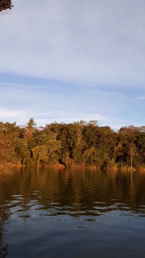 Resting on the edge of a lake Stock Footage 300901428