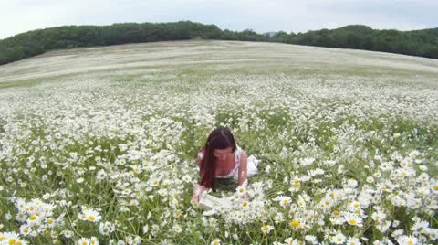 Resting in a field Stock Footage 14840341