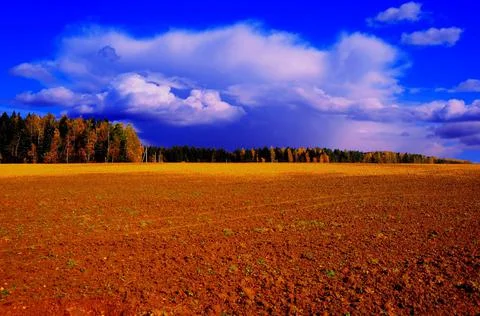Resting field Stock Photos