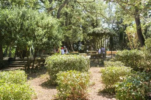 Resting people in the park. Stock Photos