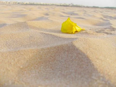 Resting on Sand 写真素材