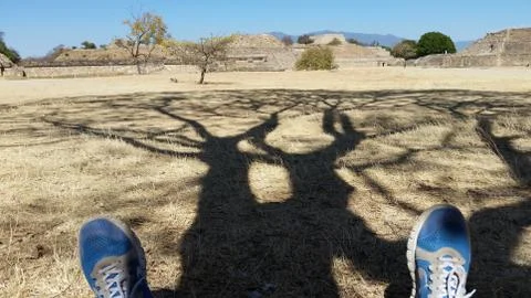 Resting in the Shade Stock Photos