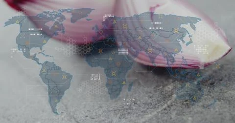 Resting single pink petal lying on coarse-gray surface, with world map overlay, Stock Photos