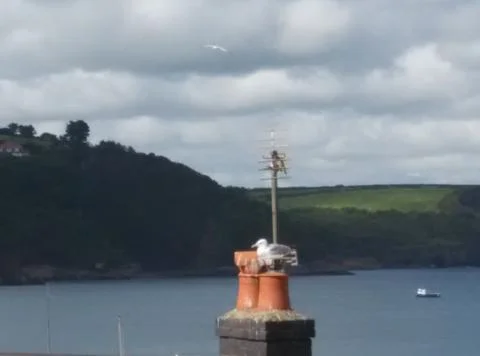 Resting for some time Stock Photos