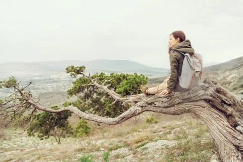 Resting on tree Stock Photos