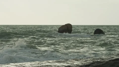 Restless sea waves over rocks Vídeos de archivo 331428072