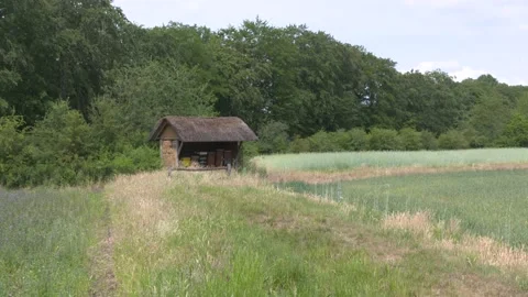 Restored archeological site with celtic fields and apiary on embankment Vídeo Stock 131950789