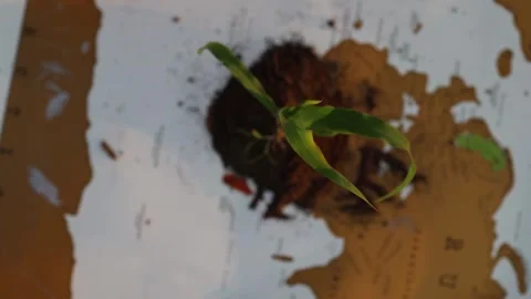 Restoring Earth together Vídeo Stock 338384582