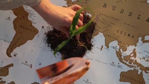 Restoring the planet together Stock Footage 338384601