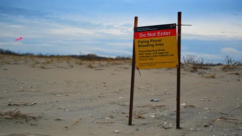 Restraining sign installed on the sandy beach. Table with a warning not to enter Stock Footage 333412712