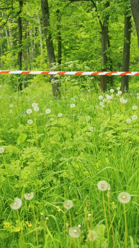 Restricted Access Nature Area with warning tape 库存影片 336321601