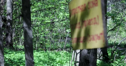 The restricted area in the forest with a barbed wire fence. Stock Footage 131501696