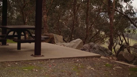 RestStopRoad Stock Footage 75267547