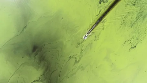 The result of the ecological disaster on the Amazon River in South Africa. Above Stock Footage 199702695