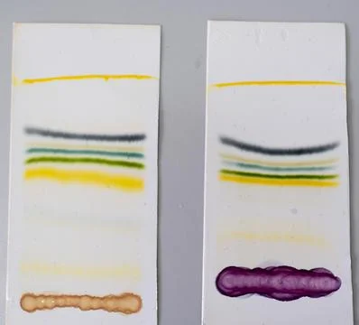 Result of thin layer chromatography in the laboratory Stock Photos