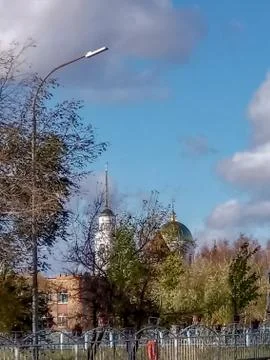 Resurrection Cathedral behind the trees Stock Illustration