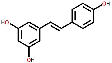 Resveratrol structural formula Stock Illustration