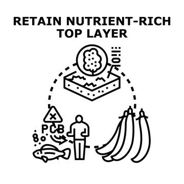 Retaining a nutrient rich top layer for soil health Stock Illustration