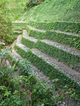 Retaining wall Stock Photos