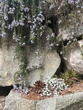 Retaining wall Stock Photos