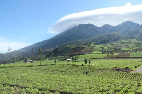 Reticular cloud phenomenon over Mount Arjuno Stock Photos