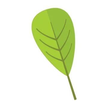 Reticulate Floral Leaf Vector Illustration Graphic 库存插图