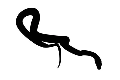 Reticulated Python Illustration Illustration of black backlight Reticulate... Stock-Fotos