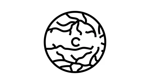 Retina examination optometry vision line icon animation 스톡 동영상 326123765