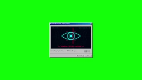 Retinal Scanner Biometric Security Interface Displaying an Eye Scan for Ide.. Видео 347343089