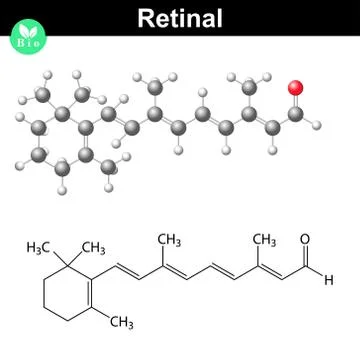 Retinal structural chemical formula Stock Illustration