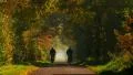 retired couple riding bicycle on long colorful avenue in autumn 4k or 4k+ Resolution